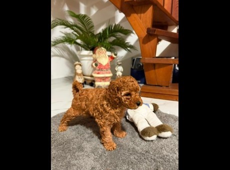 whatsapp image 2025-11-30 at 16.19.22.jpeg